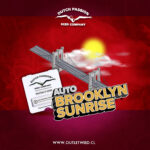 Brooklyn Sunrise | Auto | 3 semillas | Dutch Passion
