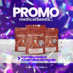 Cookies Purple Punch | 3+2 Semillas de Regalo | Fem | Medical Seeds - Imagen 2