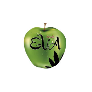 Eva Seeds