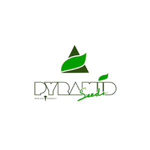Pyramid Seeds