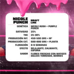 Nicole Punch | Fem | 4 semillas | BSF - Imagen 2